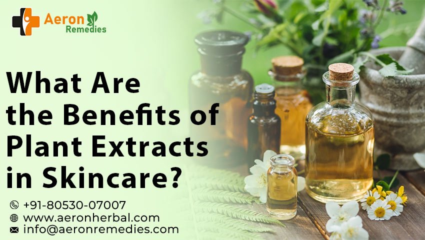 Plant extract manufacturers in India
